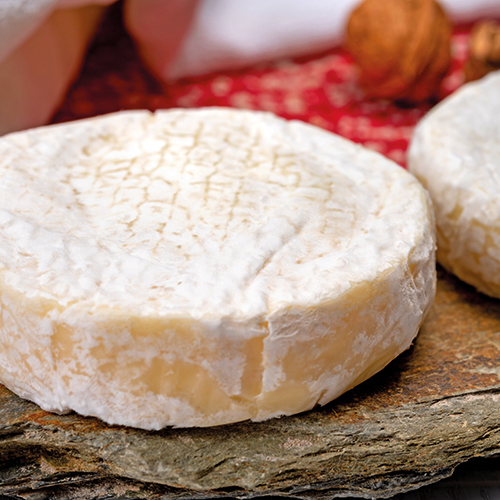 FERME DE LOUBENS PALET DE CHÈVRE BIO code EAN 9659859 