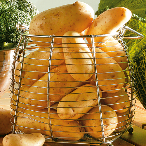  POMMES DE TERRE PRIMEUR code EAN 9733256 