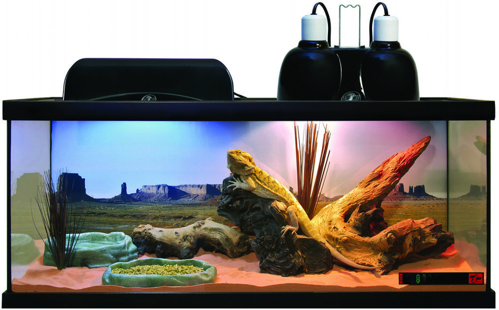 KIT TERRARIUM “REPTIHAB POGONA”