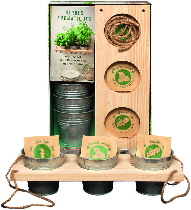 COFFRET HERBES AROMATIQUES* 9782013968324 (9782013968324)