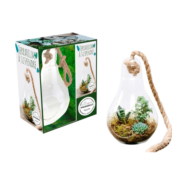 Des Coffrets Autour De La Nature 9782036044791 