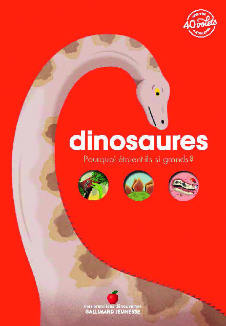 COLLECTION MES PREMIÈRES DÉCOUVERTES* 9782075130851 (9782075130851)