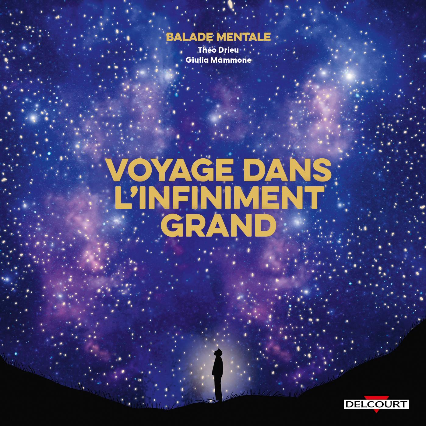  VOYAGE DANS L'INFINIMENT GRAND code EAN 9782413083337 