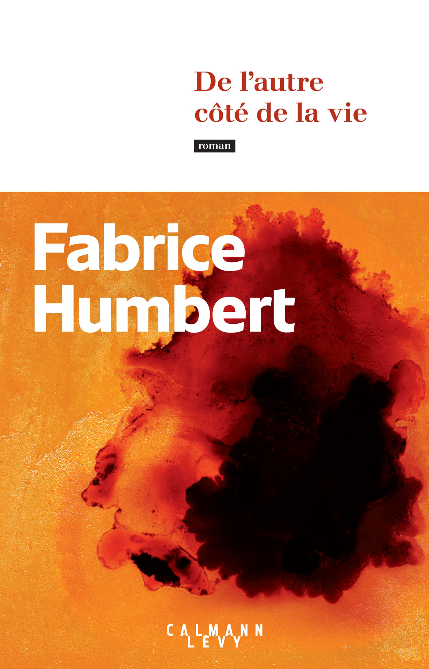 DE L'AUTRE CÔTÉ DE LA VIE Fabrice Humbert code EAN 9782702194379 