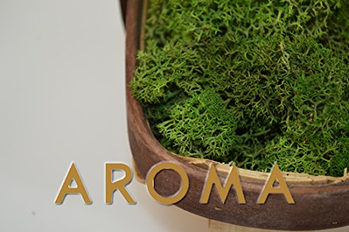 Aroma Co. 500gr de Moss vert mousse de renne code EAN 9786042668835 