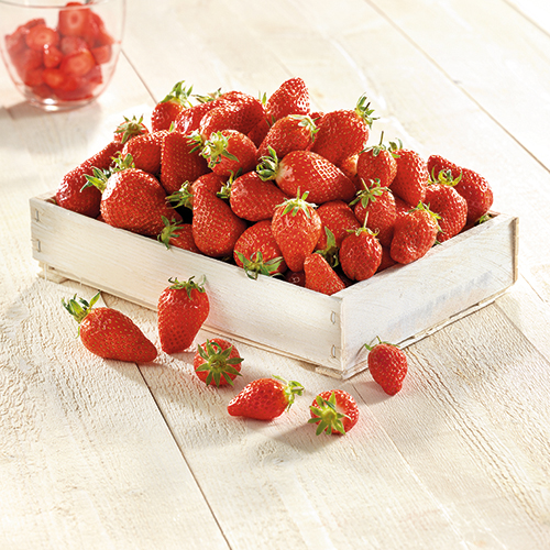 DISTRI FRAIS FRAISES code EAN 9856321 