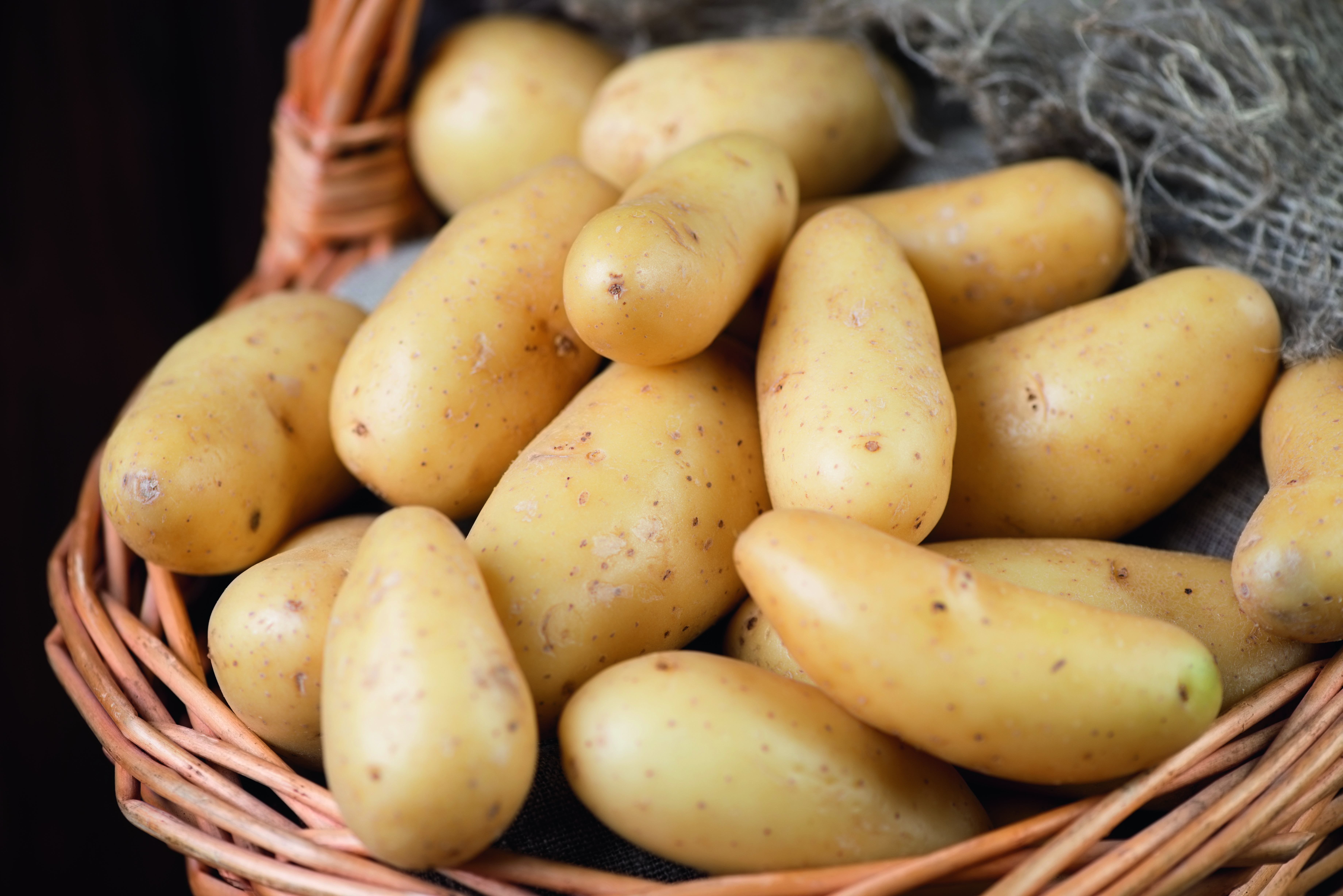 POMME DE TERRE DE CONSOMMATION AMB_5884874856985 POMME DE TERRE DE CONSOMMATION AMB_5884874856985