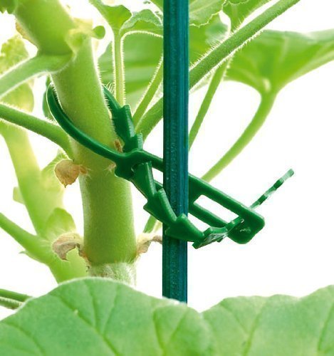 Two Wests & Elliott Ajustable Ties - Paquet De 100 code EAN B004VDCI2U 