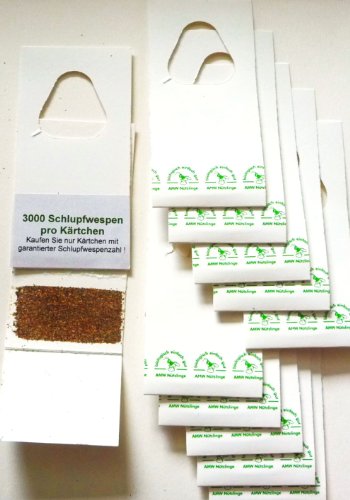 AMW Nützlinge Trichogrammes contre mites alimentaires 3 livraisons pack de 10 cartes (3000œufs) code EAN B006T1928K 