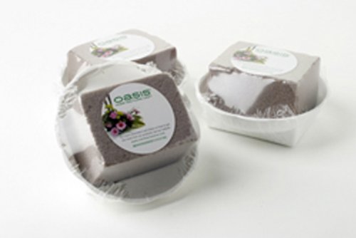 Rond bol avec mousse sec