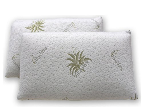 Baldiflex Lot de 2 Oreillers a mémoire de Forme écologique Ecomilk, Housse zippée en Aloe Vera Anti-Acariens et Hypoallergénique, 70x40x11 cm