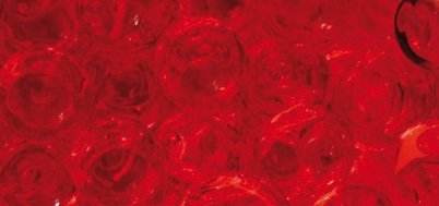 Perle d'eau pour fleur (bille gel Aquapearl) - ...