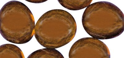 Pierre ronde - Brun - Ø 1 cm - Transparente - 2...
