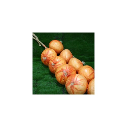 L'été indien Oignon guirlande code EAN B00CTI85L2 