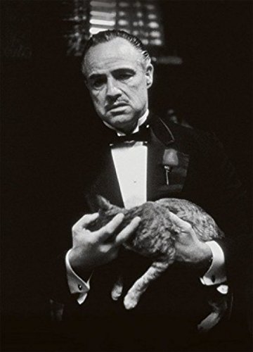 Le Parrain Carte postale - Marlon Brando, Chat ...
