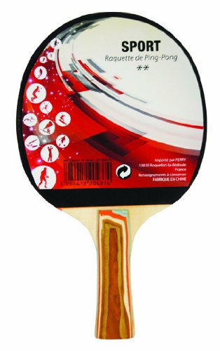 - raquette ping pong 2 étoiles