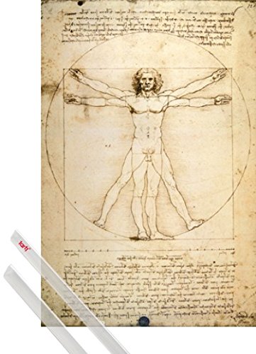 Poster + Suspension : Leonardo Da Vinci Poster ...