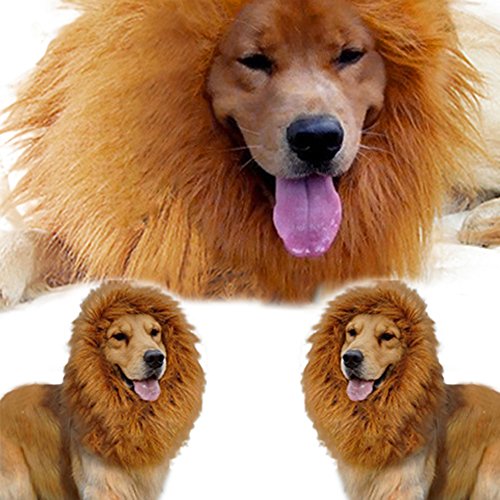 Costume pour chien crinière de lion