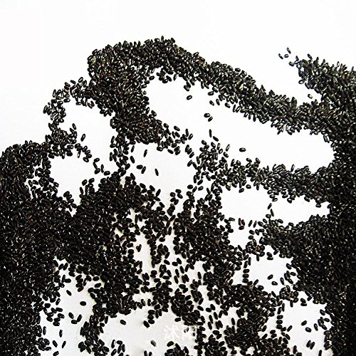 Dekoration Ecologique Protection Graines de Lav...