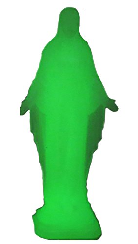 jesus christ + vierge marie visible de nuit glo...