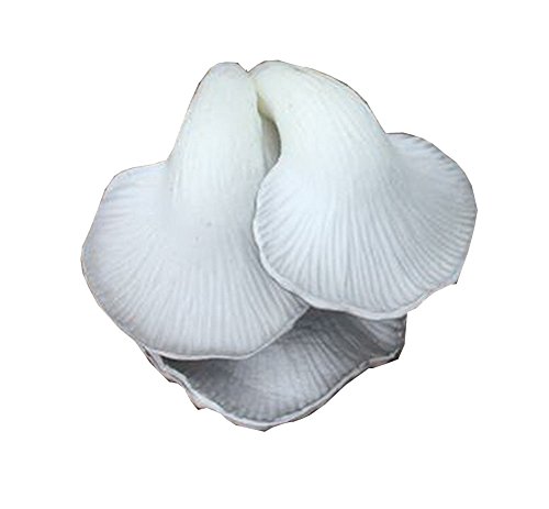 Lot de 2 légumes artificielle superbe décoratio...