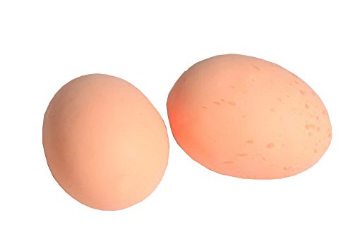 Lot de 6 jolis coquetiers artificielles réalist...