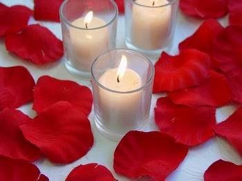 Lot 1000 pétales de rose en soie tissu pétale d...