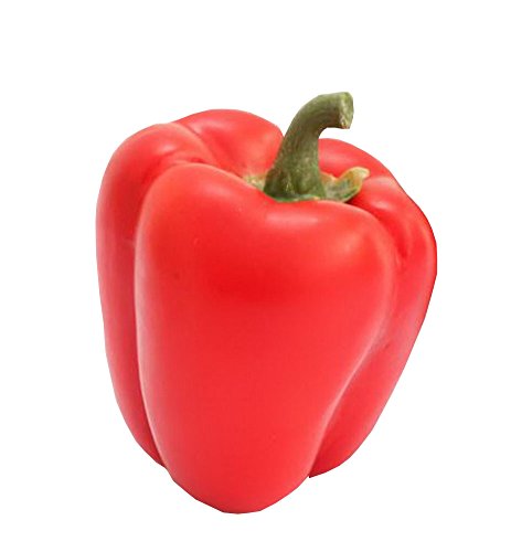 Lot de 4 fleurs artificielles Rouge piment-déco...