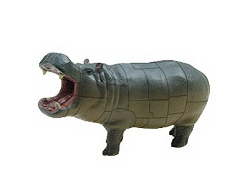 4D jouets stéréo assemblés œufs de dinosaures j...