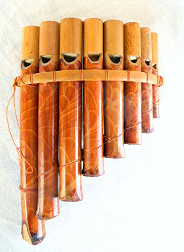 Flute pan professionnelle avec embout en bambou...