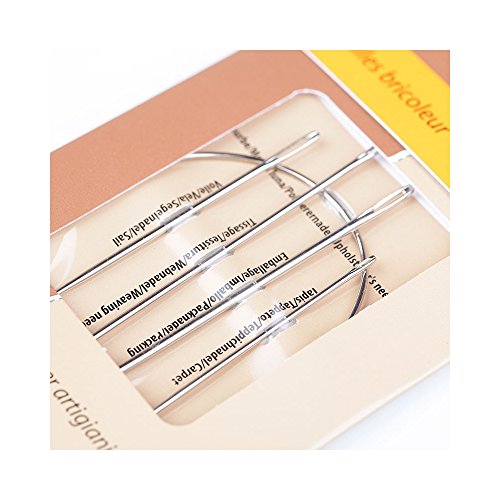 CAREFIL Pochette 5 aiguilles bricoleur code EAN B011A8B090 