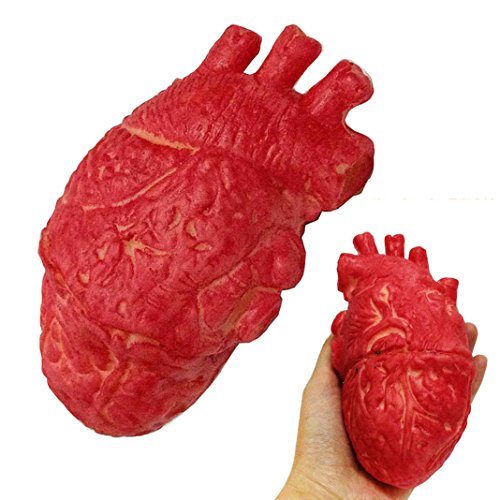 Halloween décoration - horreur organe cœur huma...
