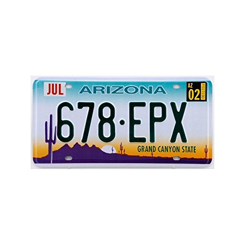 Plaque américaine USA licence plate ARIZONA Gra...