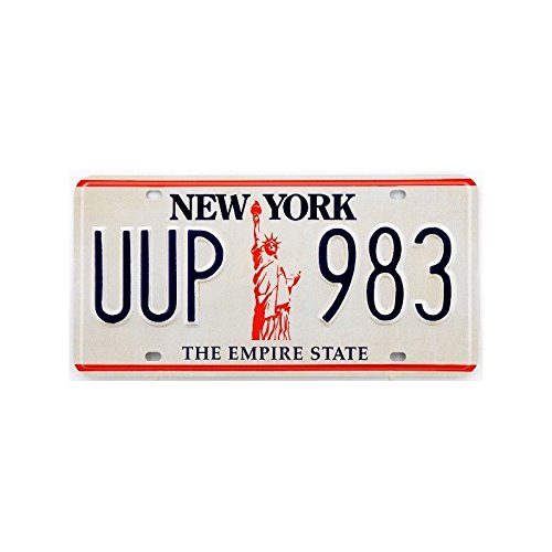 Plaque américaine USA licence plate NEW YORK Th...