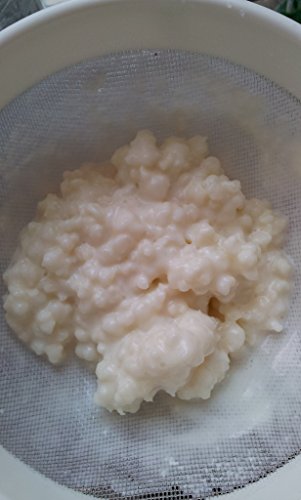 The Kefir Collection Grains de kéfir de lait bio - Live Culture de la collection kéfir code EAN B0176NYUJU 