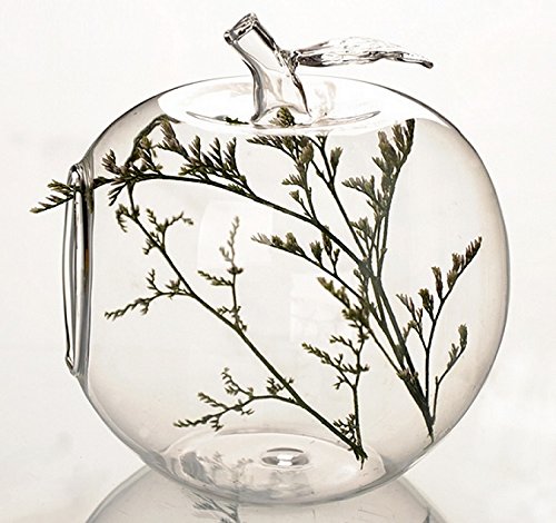 1pc vase suspendu decoratif à fleur en verre en...
