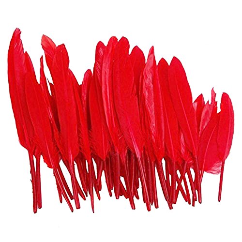 50pcs plumes d'oie teintes 4-6 pouces pour deco...