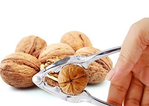 Casse-noix Chromé, pince, Très résistant, de cuisine décapsuleur en noyer, Casse-Noix, NEUF B01BBXY604 Didden