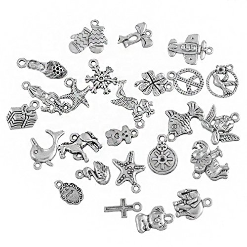 HOUSWEETY 20 Mixte Pendentifs / Breloques Metal...