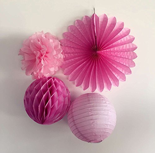 Série rose pompon papier de soie lanterne et bo...