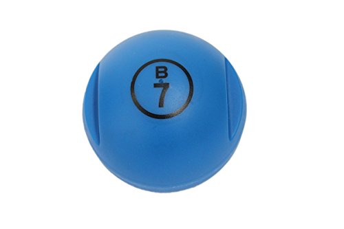 Boule de loto magnétique + 100 pions bleu