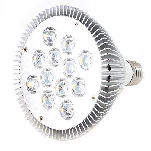 110V 12x2W Dimmable Par38 Spot LED Lampe Ampoul...