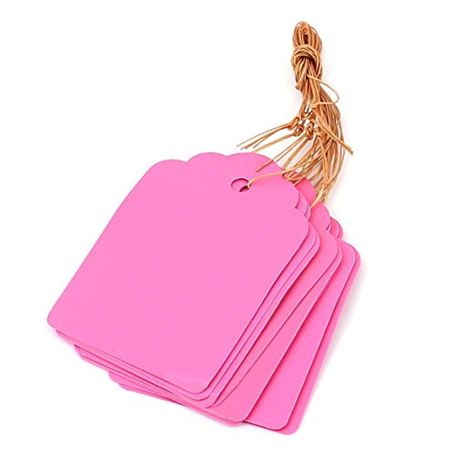 Plastic Plant Garden Tag Seed Hanging Étiquette...