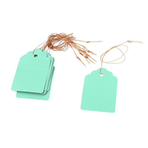 Plastic Plant Garden Tag Seed Hanging Étiquette...
