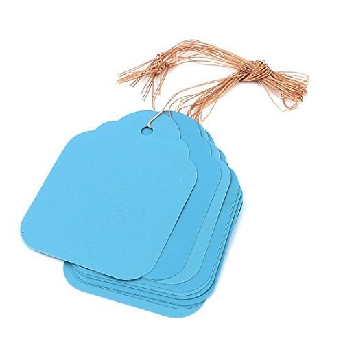 Plastic Plant Garden Tag Seed Hanging Étiquette...