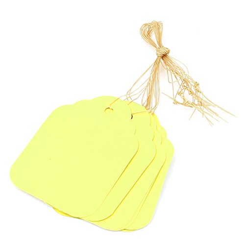 Plastic Plant Garden Seed Hanging Étiquette Mar...