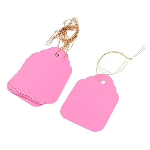 Plastic Plant Garden Tag Seed Hanging Étiquette...