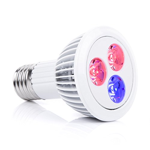 Croissance ampoule de led plante végétation lam...