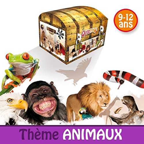 Kit anniversaire enfants 9/12 ans - chasse au t...