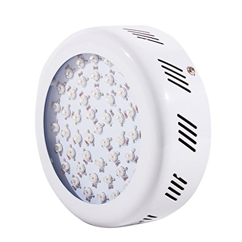 BLOOMWIN UFO Lampe de Croissance pour plantes 5...